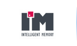 Intelligent Memory